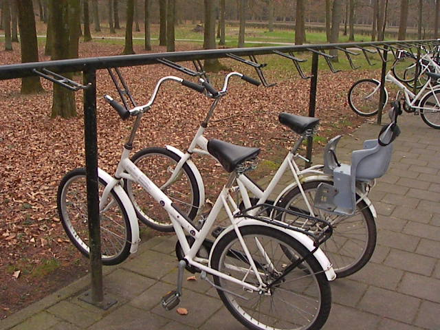 f0038407_5483567.jpg