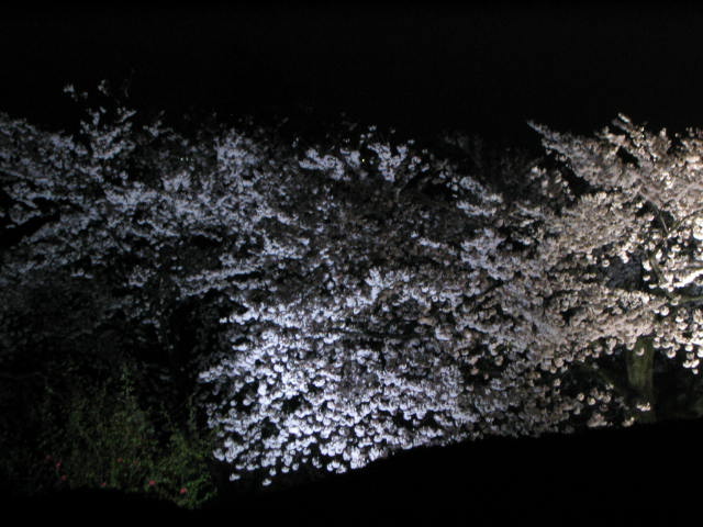 f0040911_9354149.jpg