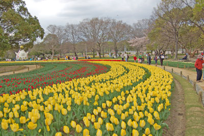 c0042319_2022060.jpg