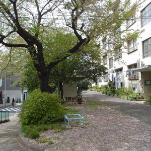 e0092221_13303978.jpg