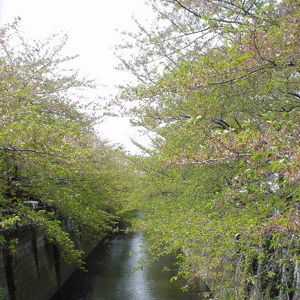 e0092221_1330993.jpg