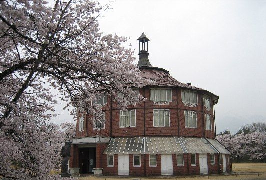 桜の花を追って～_e0082045_20235562.jpg