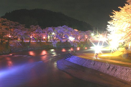 あさひ公園の夜桜_f0048546_21212965.jpg