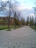 f0043861_18421242.jpg