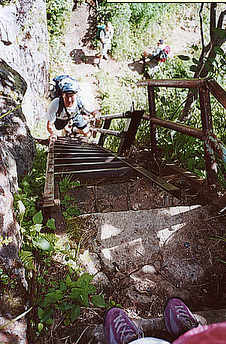 b0029488_2362912.jpg