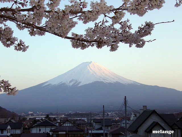 やっぱり富士山_e0069488_19321712.jpg