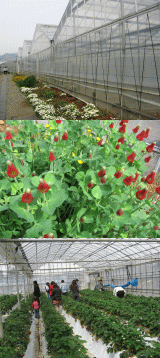 d0014408_11392646.gif