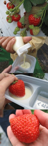 d0014408_11393188.gif