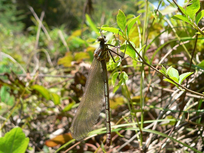 e0002314_20134412.jpg