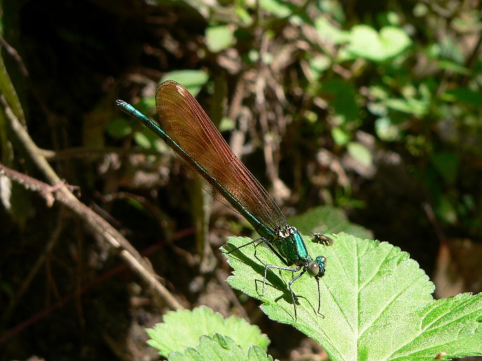 e0002314_20161317.jpg