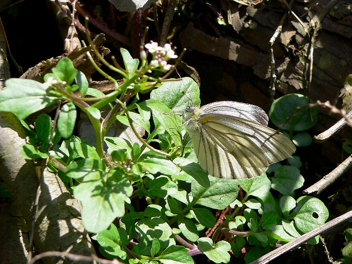 e0002314_2024062.jpg