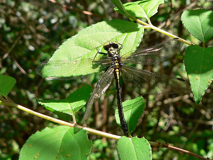 e0002314_20425160.jpg