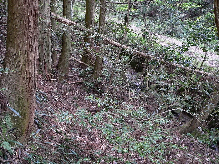 e0002314_205518.jpg