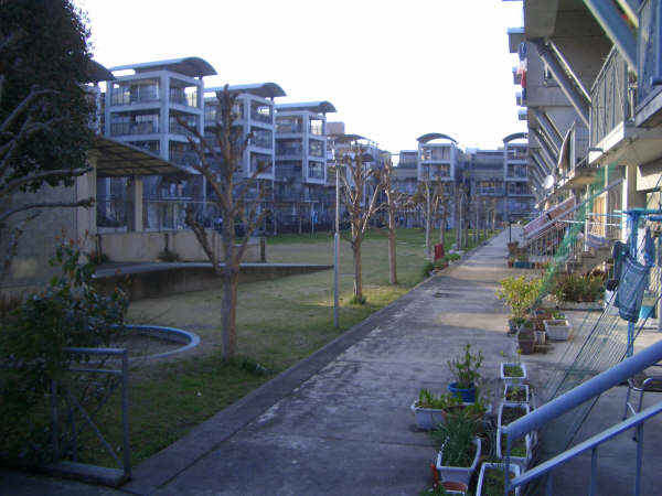 e0028417_98834.jpg