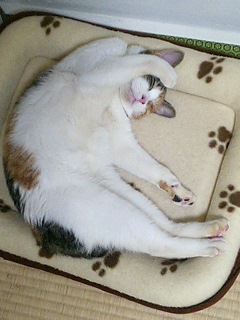 うっふんあっはんでエロエロ。_b0072729_23413564.jpg