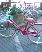 a0058433_0523725.jpg