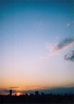 e0039640_91439.jpg