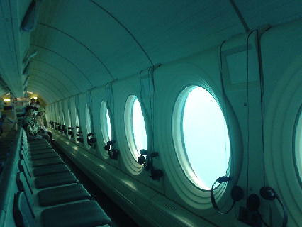 c0016642_1754717.jpg