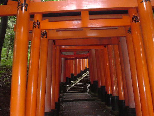c0016642_1759435.jpg