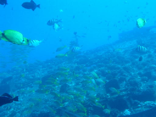 c0016642_1773094.jpg