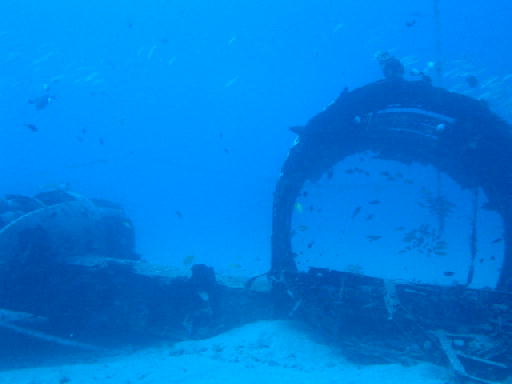 c0016642_177439.jpg