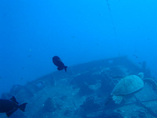 c0016642_1782291.jpg