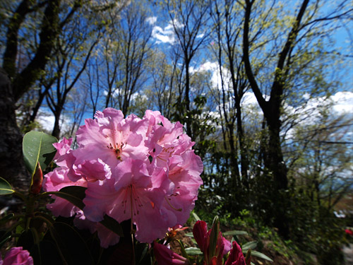 a0003746_17361569.jpg