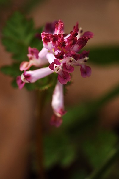 e0009147_17565.jpg