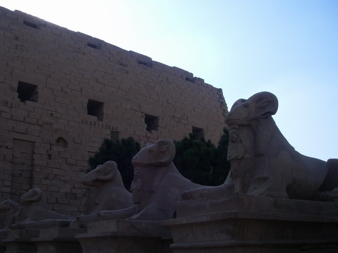e0069647_13314548.jpg