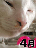 2006年4月のロゴ画像_a0028451_8385331.gif