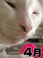 2006年4月のロゴ画像_a0028451_842047.gif