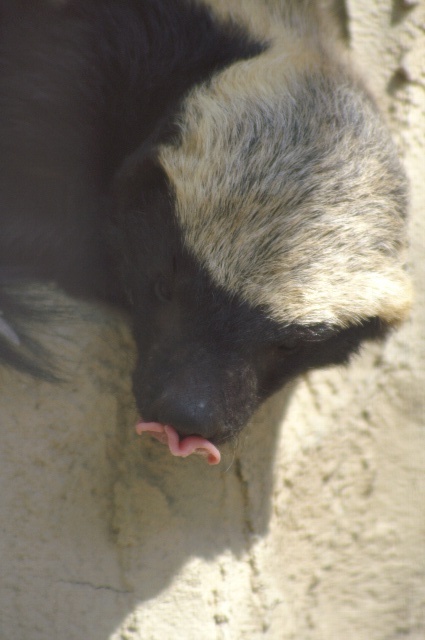 b0024758_2221324.jpg
