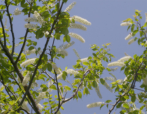 c0068168_1021100.jpg