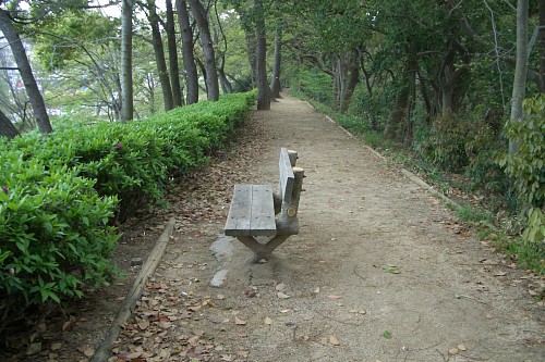f0104569_101017.jpg