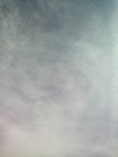 晴れるかなぁ…_e0051174_833030.jpg