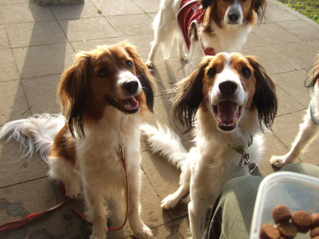 c0075585_1553770.jpg