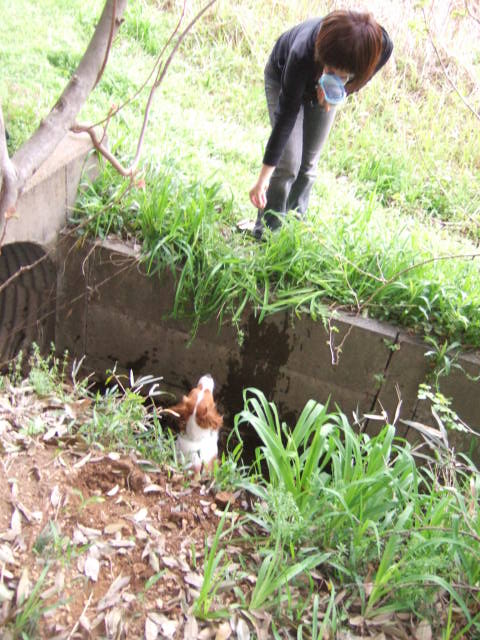 c0075585_2192183.jpg