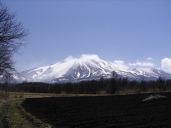 準備はOK。_d0028589_083463.jpg