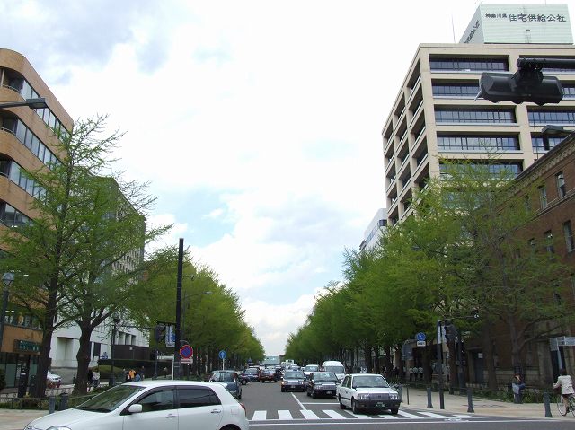 e0070891_1750186.jpg