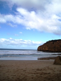 f0037404_21394312.jpg