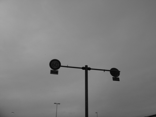 e0041310_101360.jpg