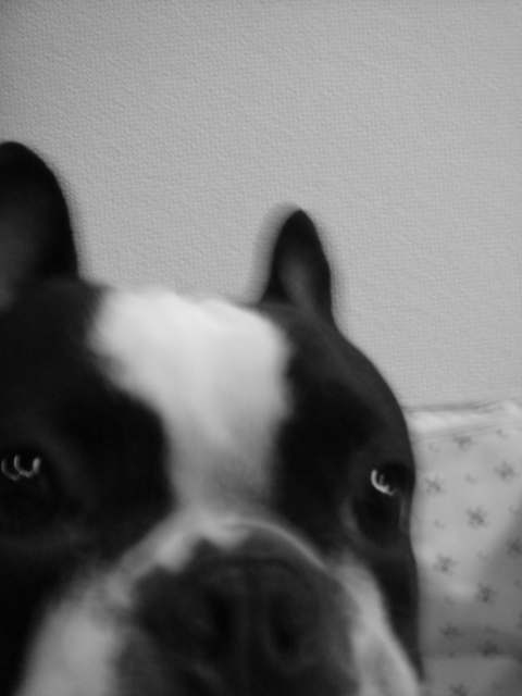 e0041310_105417.jpg