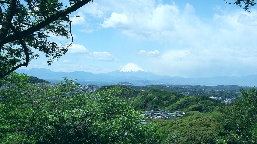 新緑と富士山_b0082112_138679.jpg