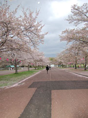 c0042319_858137.jpg