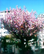a0058433_1142027.jpg