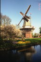 e0026645_0441491.jpg