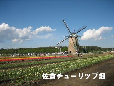 f0002750_20434616.jpg