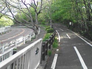 久しぶりの多摩湖自転車道_c0055552_13313211.jpg