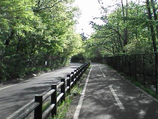 久しぶりの多摩湖自転車道_c0055552_13314489.jpg