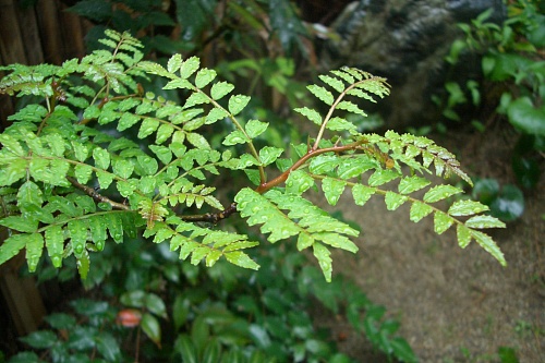 f0104569_21152921.jpg